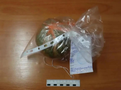 Полицейские нашли у жителя Анапы десятки граммов наркотика