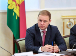 Реализация инвестпроектов с ПМЭФ принесет Анапе 16 миллиардов рублей налогов – Василий Швец