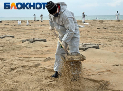 Еще один регион отказался от замазученного песка Анапы 