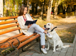 Парки влетают в копеечку: обустройство общественных зон в Анапе стоит до 120 млн за 1 га