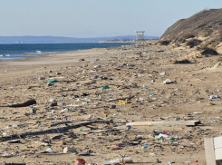 «Мусор уже засыпает песком»: повторится ли скандал с кемпингом «Жара» под Анапой 