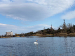 В День игрушечных солдатиков в Анапе будет дождливо