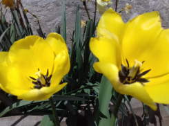 В последний день марта в Анапе будет тепло