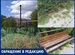 Парк в Рассвете под Анапой разрушается – плитка заросла, вырваны доски со скамеек