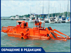 Анапе не новая Набережная нужна, а оборудование для очистки моря, - считает горожанин