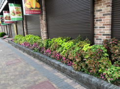 14 октября, в День Покрова Пресвятой Богородицы, в Анапе будет +24