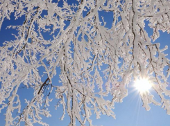 Во вторник, 19 февраля, в Анапе ожидается мороз