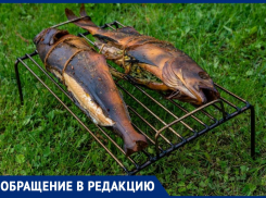 Анапчанин Айрат Сафин купил копчёную рыбу, но в итоге выбросил её