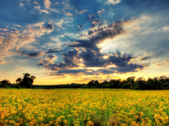 В воскресенье в Анапе ожидается ясная погода