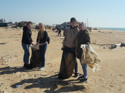 ﻿Пляж станицы Благовещенской под Анапой очистили от мусора