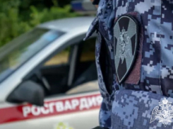 Анапчанка перевела неизвестным 980 тысяч рублей – подозреваемых в мошенничестве задержали