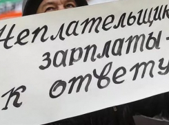 За невыплаченную зарплату на директора предприятия в Анапе завели уголовное дело