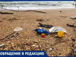 Андрей Берг предложил, как можно очистить пляжи Анапы от мусора