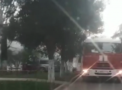 Анапчане сняли видео, как в Анапе на ул. Чехова подожгли сухое дерево