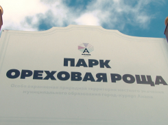 Ограждение у парка «Ореховая роща» стало яблоком раздора между мэрией и анапчанами