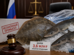 В Анапе мужчина пойдёт под суд за незаконную продажу рыбы на 3,6 млн рублей