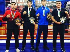 Боксеры из Анапы стали призерами первенства Южного федерального округа
