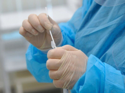 Ещё 9 человек в Анапе заболело коронавирусом. Сводка на 1 ноября