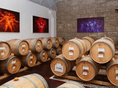 Тяжба за 105 миллиардов ГК «Ариант»: анапской винодельне «Кубань-Вино» «развязывают руки»