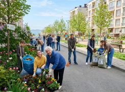 В Анапе пройдёт масштабный субботник: жителей приглашают присоединиться