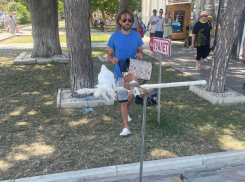 Полицейские Анапы изъяли голубей у уличного фотографа