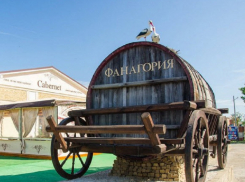 Владеющая виноградниками в Анапе «Фанагория» «упала» по прибыли сразу на четверть