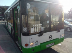 Летом в Анапе будут работать 350 автобусов