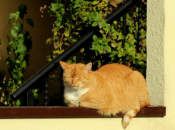В воскресенье в Анапе немного потеплеет