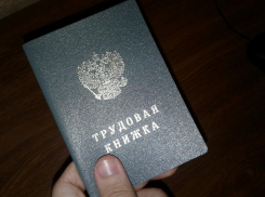 До конца 2020 года анапчане должны определиться с форматом трудовой книжки