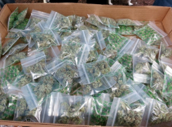 Анапчанин купил крупную партию наркоты и пытался продать – дело передано в суд