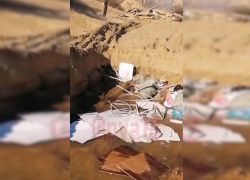 В Витязево устроили свалку прямо на песчаных дюнах – читатели засняли бардак на видео