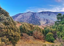  Анапский суд предписал заповеднику «Утриш» защитить лес от пожаров 