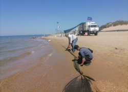 Стали известны результаты мониторинга пляжей Анапы 