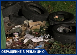 Денис Фёдоров просит разобраться с мусором на ул. Краснодарской в Анапе