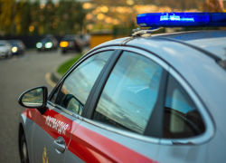 В Анапе сотрудники Росгвардии задержали приезжую по подозрению в краже