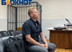 «Двойные стандарты власти»: суд по делу приемного отца Дани Милохина приостановлен для экспертизы