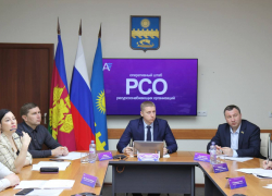 Обрезка деревьев и уборка обочины дорог: что поручили сделать коммунальщикам Анапы