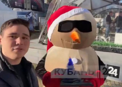 Награду за лучшую новогоднюю ёлку Кубани вручили анапскому Песковику