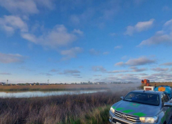 В Анапе началась поэтапная обработка территорий от комаров