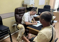 Фото с совами и голубями на пляжах Анапы: полиция пресекает незаконный бизнес