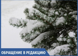 Снег в Рождество принес анапчанам не только радость, но и проблемы