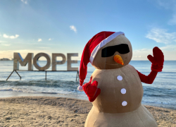 В Анапе выбирают имя главному зимнему символу – песковику 