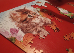 Анапчанка нашла «вечный двигатель»