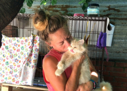 Девушка-волонтер строит приют для бездомных животных в Анапе