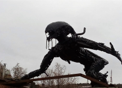 Анапчанин сфотографировал иноземное существо