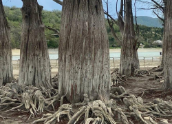 В Международный день танца в Анапе пасмурно
