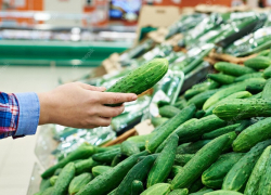 В Анапе в январе 2023 года подорожали огурцы, ламинат и туры в Египет