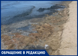  «Невозможно в такой вонище»: гости курорта пожаловались на состояние пляжа Джемете