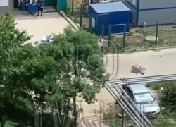 В Анапе полицейские застрелили подозреваемого в ограблении банка