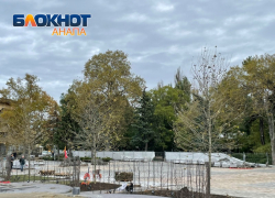 В Анапе на Театральной площади высадили четырехметровые платаны